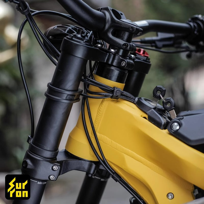 OEM | Surron Roller Bearing Kit