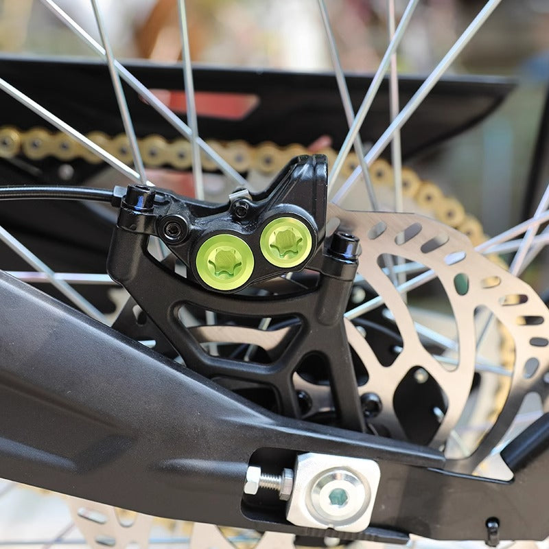 OEM | Surron Brake Kit