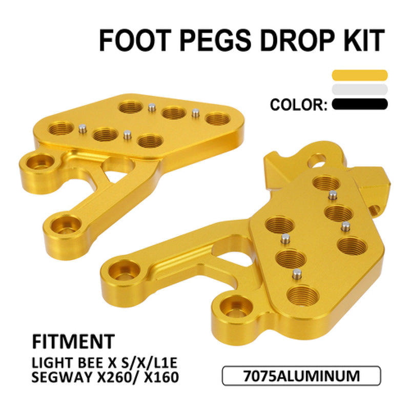 Foot Adjustable Bracket for Light Bee